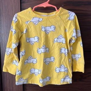 Hanna Andersson bunny Shirt size 90 (3T)
